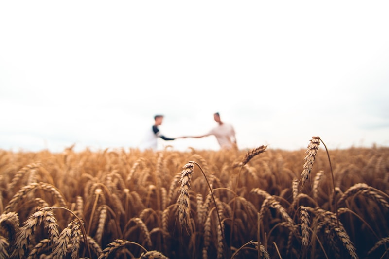 Agriculture Loan